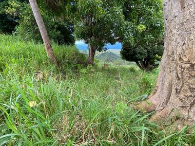 Terrain - 10 800 m²