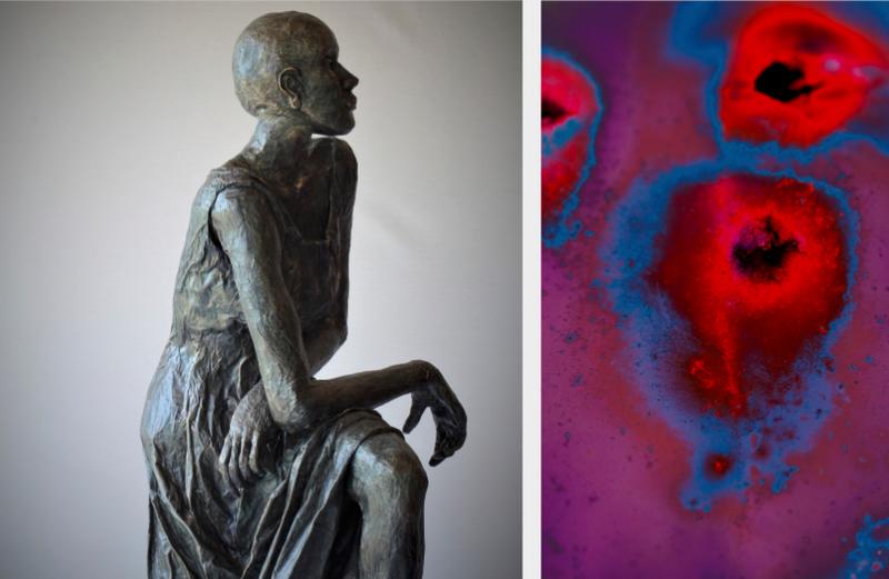 Exposition "Textures et sculptures"