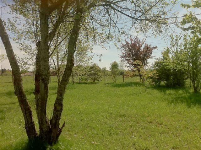 Maison - 210 m² - 5 pièces