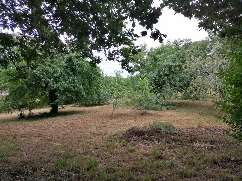 Maison - 107 m² - 4 pièces