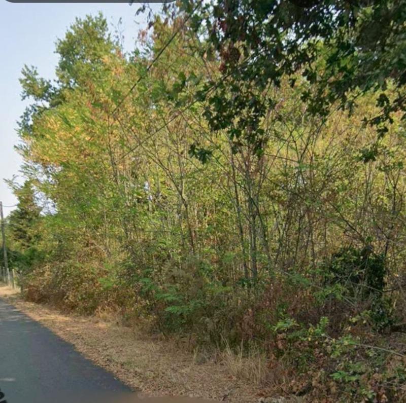 Terrain agricole - 927 m²