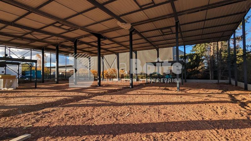 Entrepôt - 917 m²