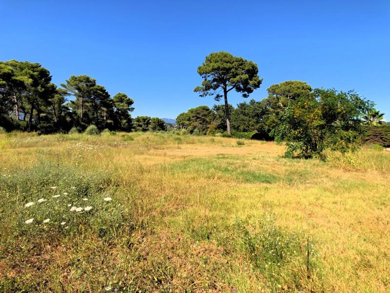 Terrain constructible - 1 000 m²