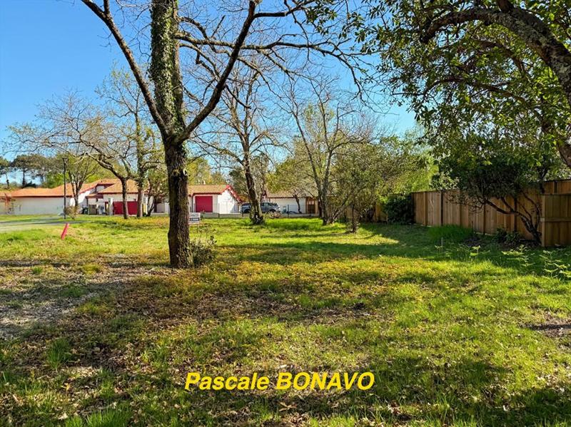 Terrain constructible - 732 m²