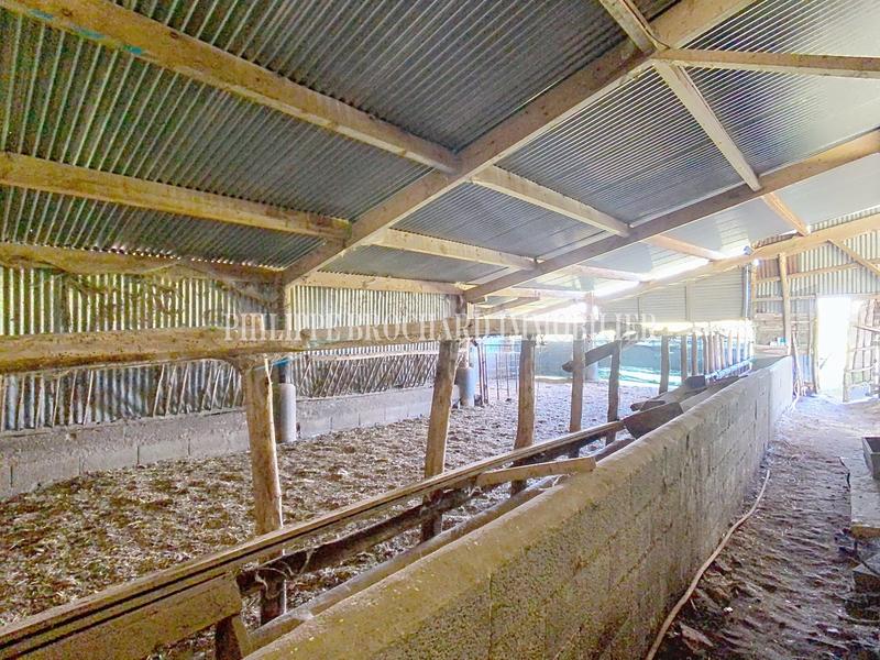 Maison ancienne - 120 m² - 5 pièces