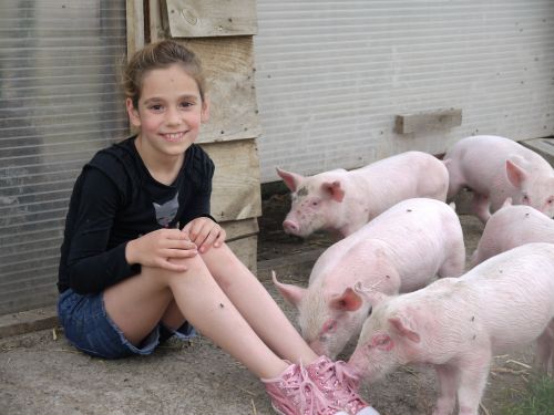 Ferme Pédagogique de la Moulerette