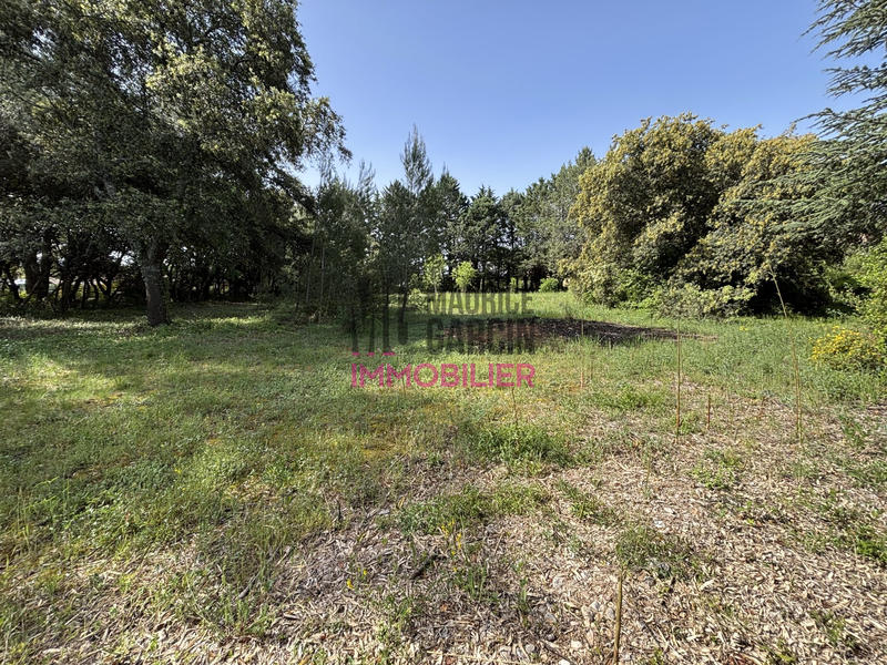 Maison - 137 m² - 5 pièces