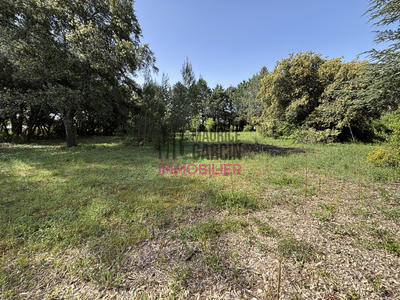 Maison - 137 m² - 5 pièces