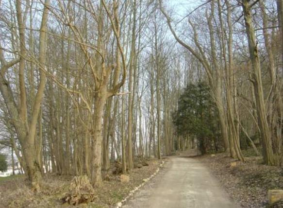 Manoir - 1 500 m² - 25 pièces