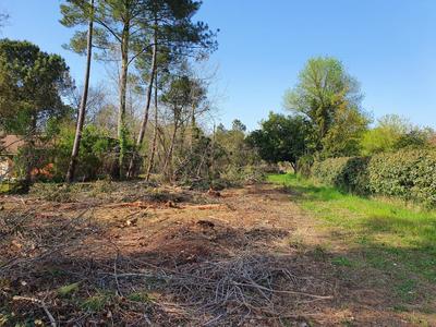 Terrain constructible - 800 m²