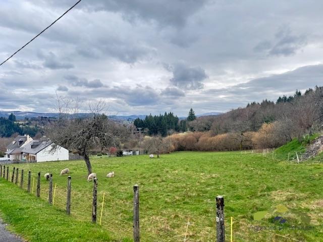 Terrain constructible - 4 954 m²