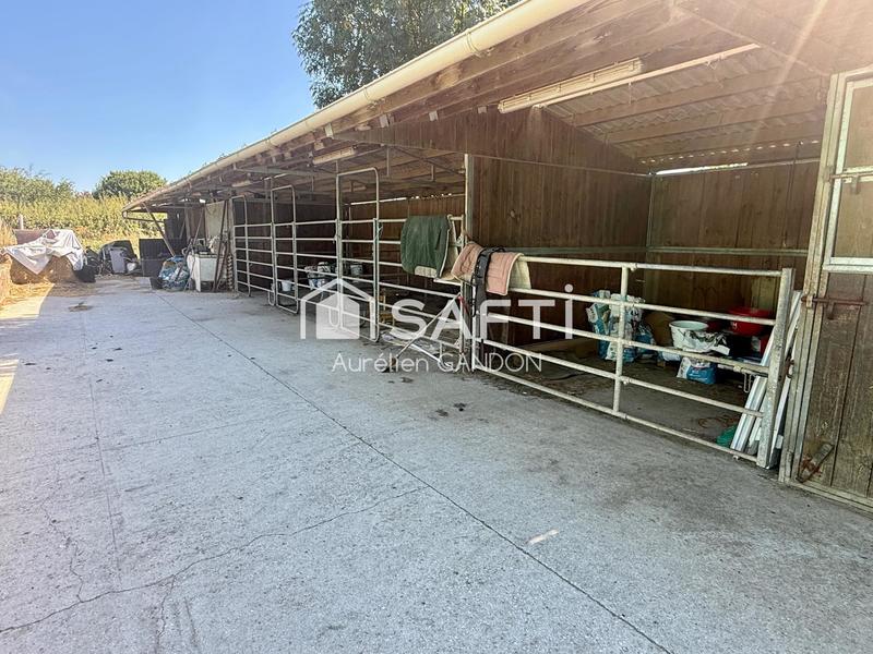 Maison - 110 m² - 5 pièces