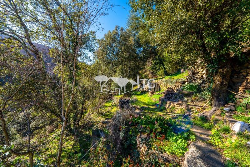 Mas - 78 m² - 7 pièces