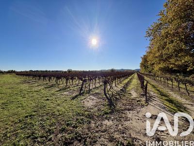 Terrain agricole - 9 763 m²