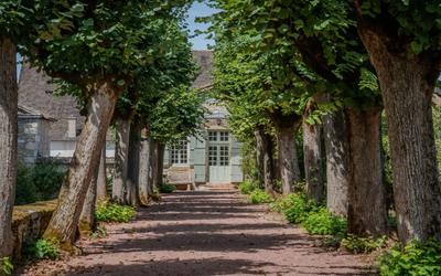 Manoir - 800 m² - 15 pièces