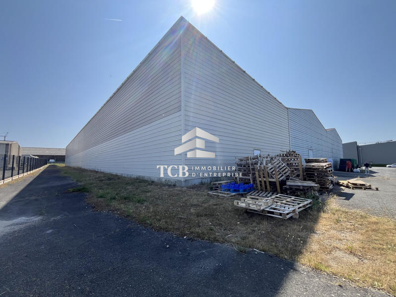 Local d'activités - 5 584 m²