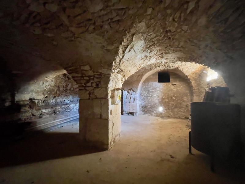 Château - 600 m² - 6 pièces