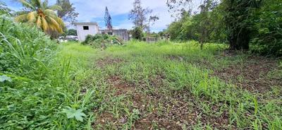 Terrain constructible - 799 m²