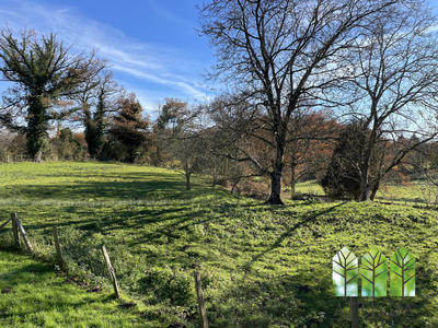 Maison ancienne - 65 m² - 3 pièces