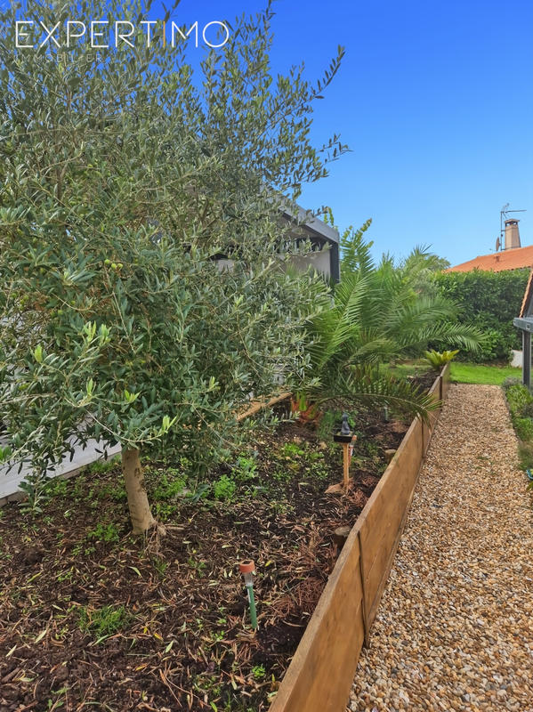 Viager - Maison - 210 m² - 10 pièces