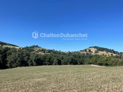 Corps de ferme - 171 m² - 7 pièces