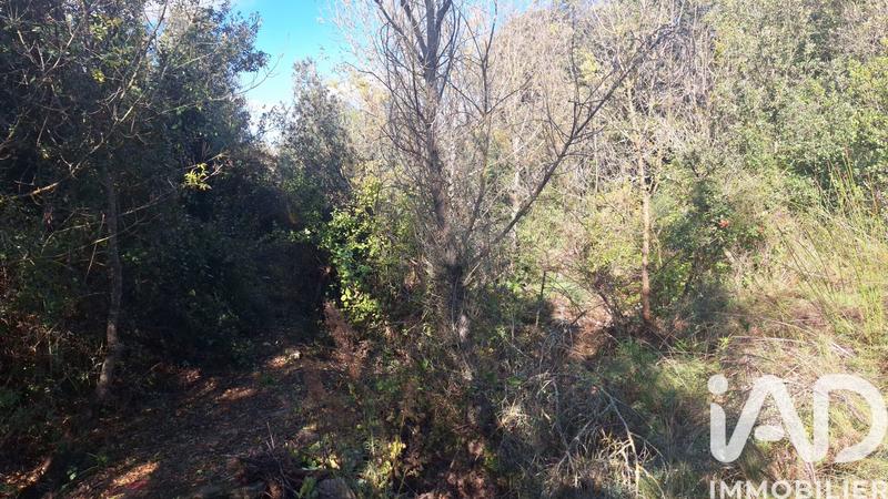 Terrain agricole - 5 345 m²