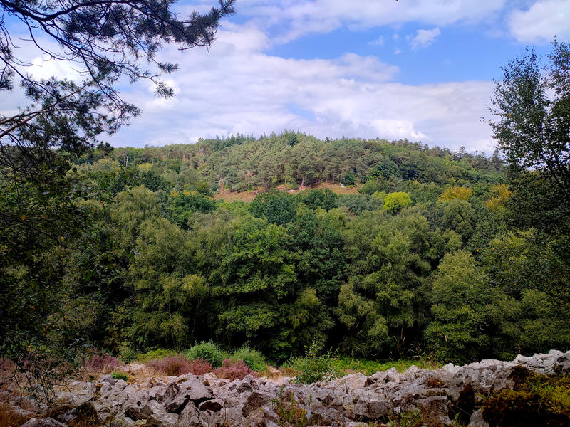 Histoires de paysages