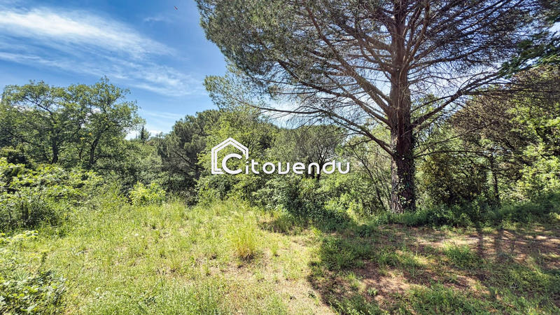 Terrain - 1 831 m²
