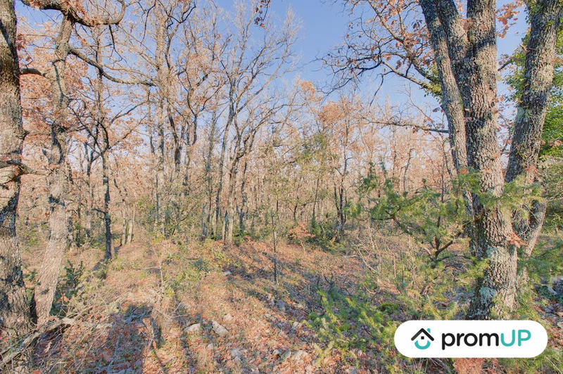 Terrain de loisirs - 44 605 m²