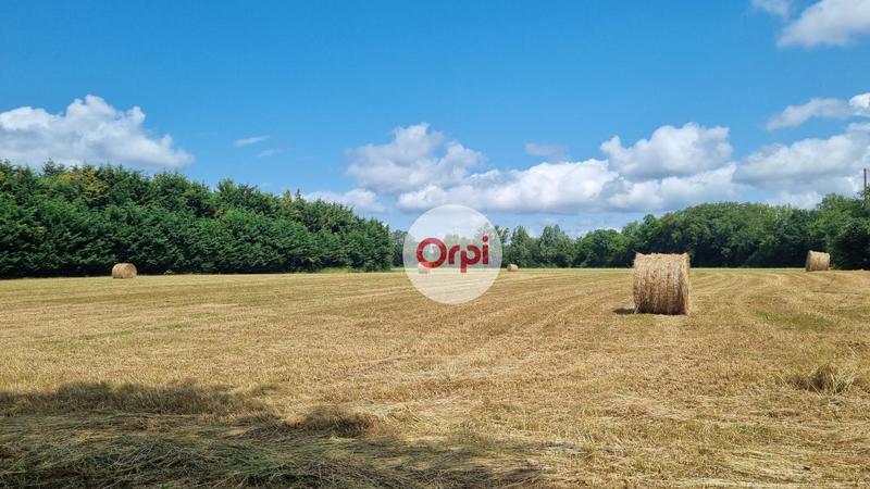 Terrain constructible - 6 300 m²