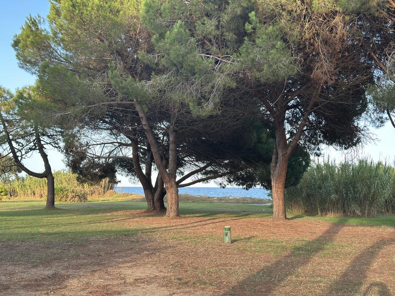 Appartement - 35 m² - 3 pièces