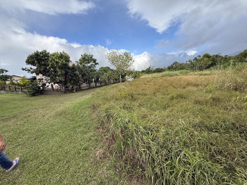 Propriété - 245 m² - 9 pièces