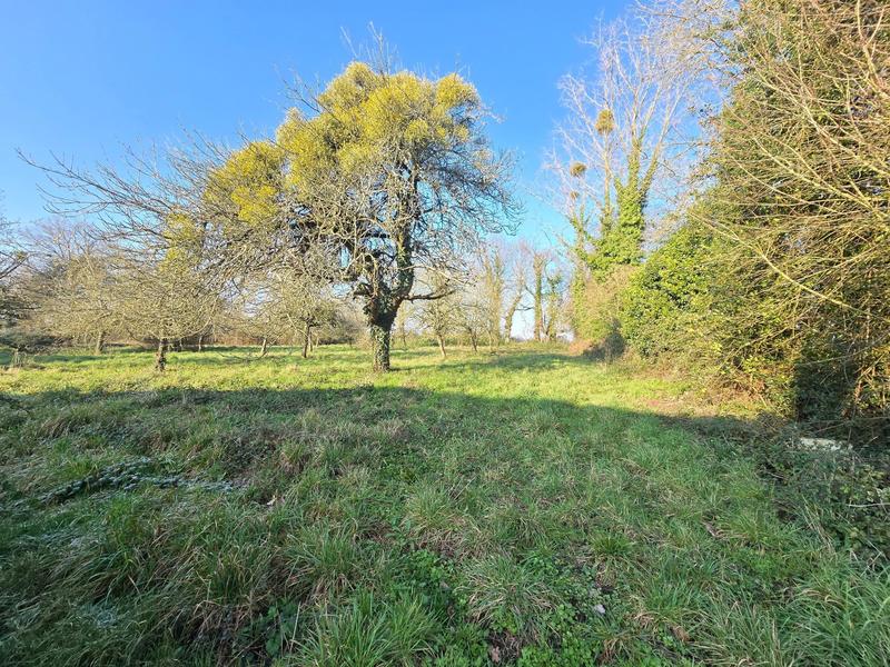 Maison - 123 m² - 7 pièces