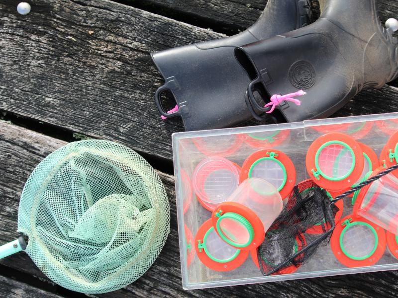 A la découverte de la mare à Terres d'Oiseaux