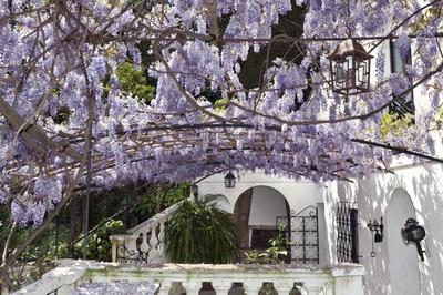 Propriété - 600 m² - 14 pièces