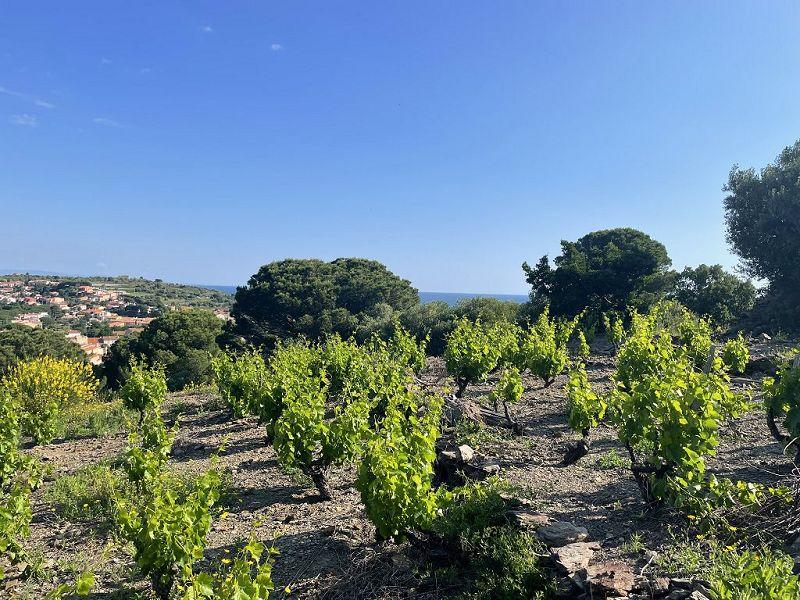 Terrain - 24 000 m²