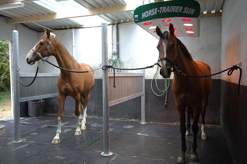 Château - 838 m² - 26 pièces