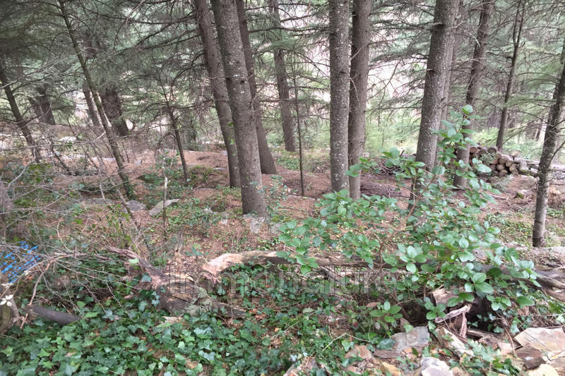 Terrain de loisirs - 1 250 m²