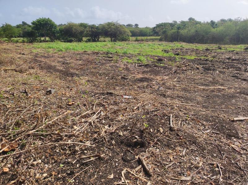 Terrain constructible - 4 308 m²