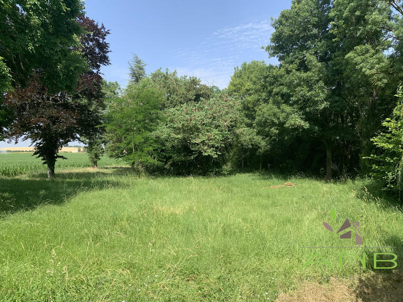 Maison - 250 m² - 13 pièces