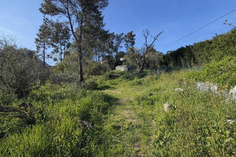 Terrain constructible - 2 000 m²