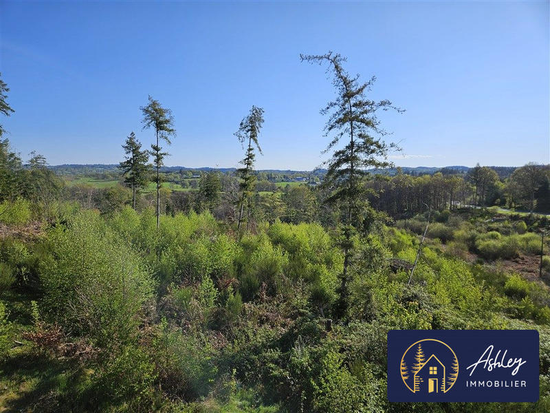 Maison - 124 m² - 5 pièces