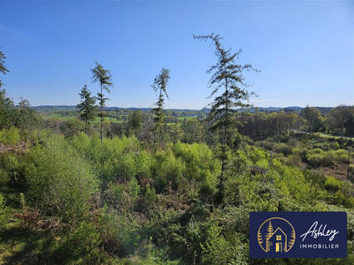 Maison - 124 m² - 5 pièces