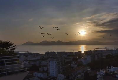 Appartement - 163 m² - 5 pièces