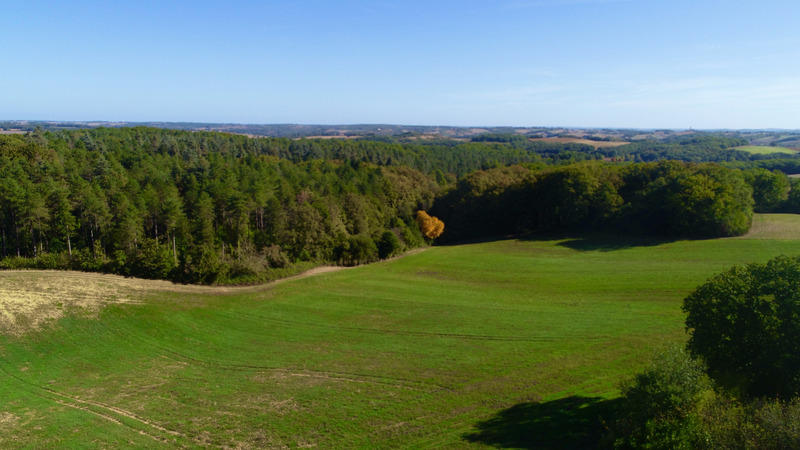 Terrain agricole - 490 712 m²