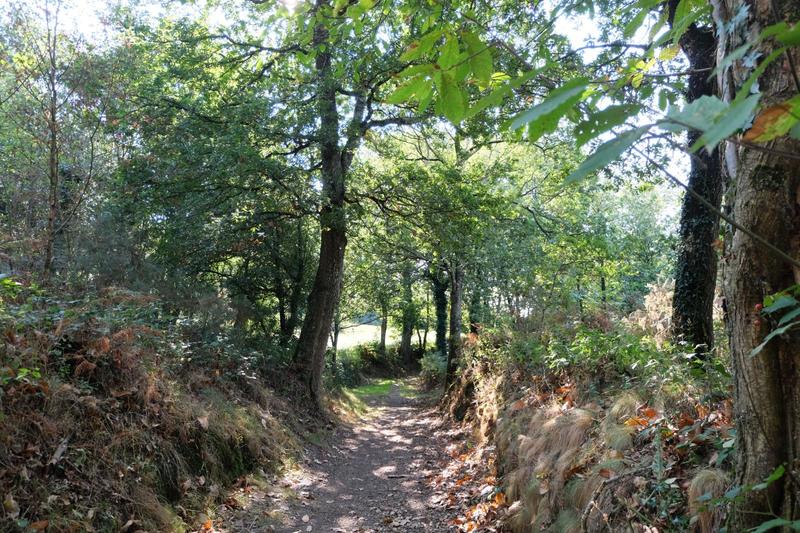 Balade contée  dans la vallée de l'Aure