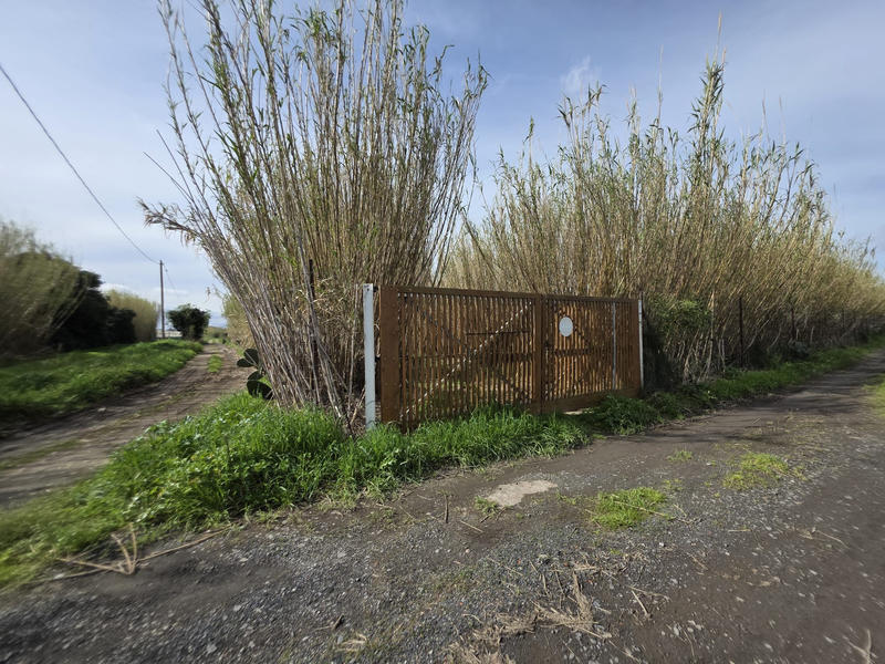 Terrain agricole - 5 006 m²