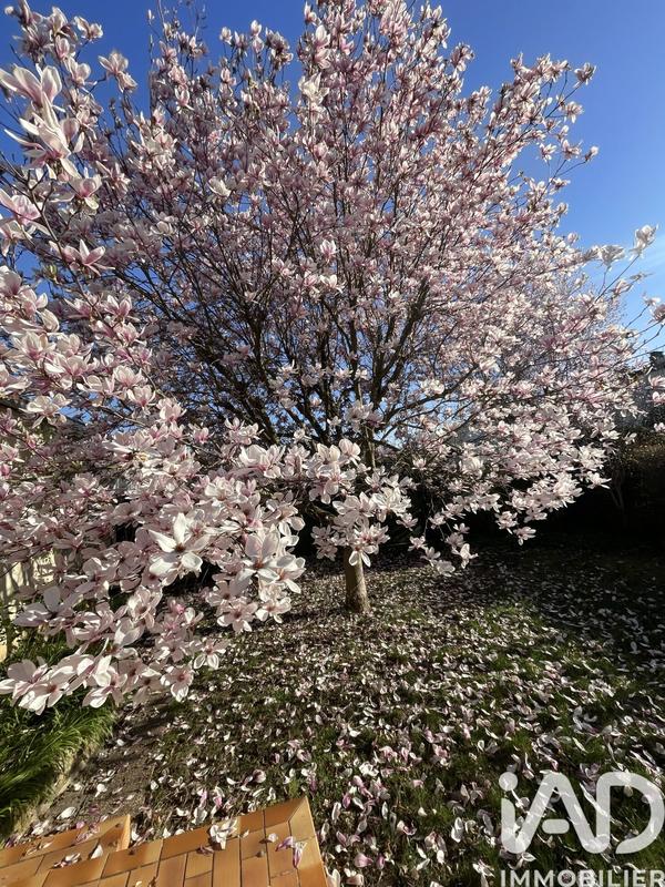 Maison - 55 m² - 3 pièces