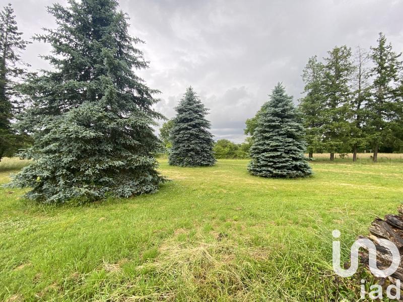 Maison de maîtres - 244 m² - 7 pièces