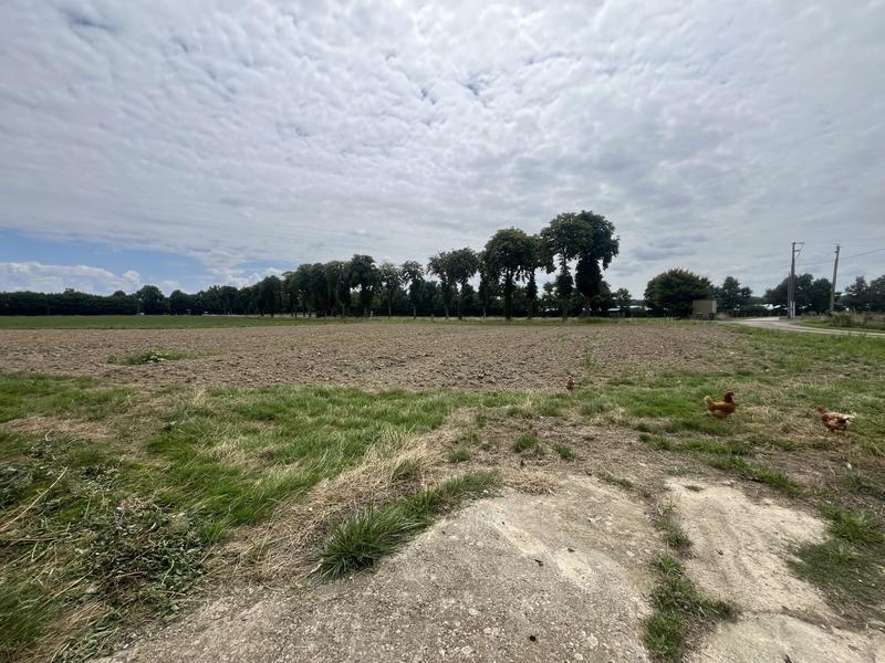 Ferme - 218 m² - 4 pièces